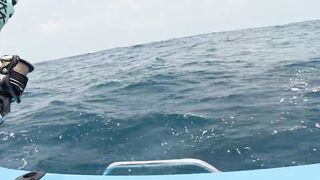 Sri Lanka/Шри-Ланка: монстры Индийского океана и съемка на нервах