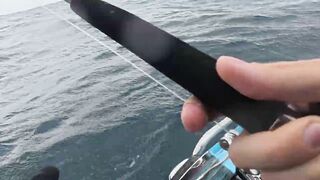 Sri Lanka/Шри-Ланка: монстры Индийского океана и съемка на нервах