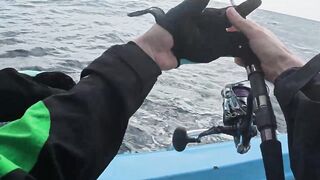 Sri Lanka/Шри-Ланка: монстры Индийского океана и съемка на нервах