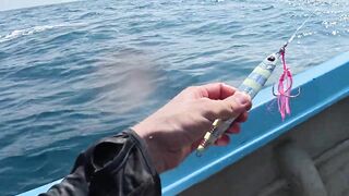 Sri Lanka/Шри-Ланка: монстры Индийского океана и съемка на нервах