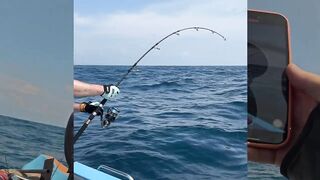 Sri Lanka/Шри-Ланка: монстры Индийского океана и съемка на нервах