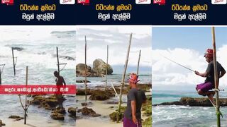 Stilt Fishing | ශ්‍රී ලංකාවේ රිටිපන්න මසුන් ඇල්ලීමේ ක්‍රමය #sujayaonline #sujaya #srilanka #nature