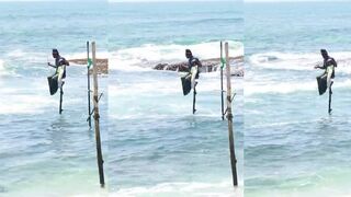 Stilt fishing in Sri Lanka / දකුණේ රිටිපන්න ධීවර කර්මාන්තය #madhuraeco #stiltfishinginsrilanka