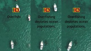 Sri Lanka чрезмерный вылов снижает популяции океана что с этим делают?
