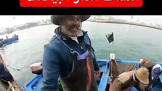 كفاح البحار: улов дня в الدار البيضاء (Casablanca) и что там берет у берега