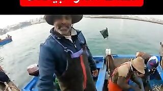 كفاح البحار: улов дня в الدار البيضاء (Casablanca) и что там берет у берега