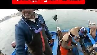 كفاح البحار: улов дня в الدار البيضاء (Casablanca) и что там берет у берега