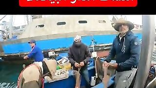 كفاح البحار: улов дня в الدار البيضاء (Casablanca) и что там берет у берега