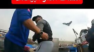 كفاح البحار: улов дня в الدار البيضاء (Casablanca) и что там берет у берега