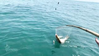 Da Nang Дананг морская рыбалка с лодки и deep sea ожидания по трофею