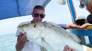 Da Nang Дананг морская рыбалка с лодки и deep sea ожидания по трофею