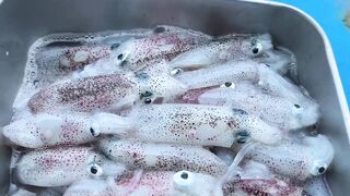 Da Nang Дананг морская рыбалка с лодки и deep sea ожидания по трофею