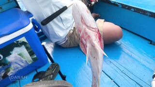 Da Nang Дананг морская рыбалка с лодки и deep sea ожидания по трофею