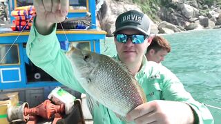 Da Nang Дананг морская рыбалка с лодки и deep sea ожидания по трофею