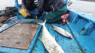 Da Nang/Дананг - развлекательный джиг на chang у острова Hon La