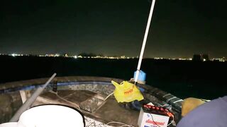 Câu Cá Nóc: самодельный rường to и ловля ради заработка каждый день