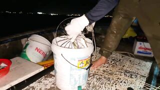 Câu Cá Nóc: самодельный rường to и ловля ради заработка каждый день