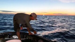 Câu Cá Nóc: самодельный rường to и ловля ради заработка каждый день