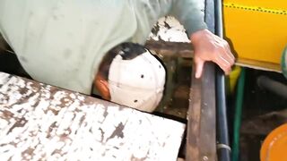 Câu Cá Nóc: самодельный rường to и ловля ради заработка каждый день