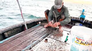 Câu Cá Nóc: самодельный rường to и ловля ради заработка каждый день