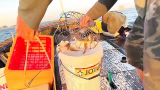 Câu Cá Nóc: самодельный rường to и ловля ради заработка каждый день