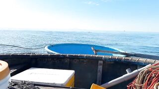 Câu Cá Nóc: самодельный rường to и ловля ради заработка каждый день