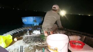 Câu Cá Nóc: самодельный rường to и ловля ради заработка каждый день