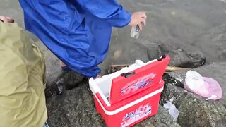 Phu Loc/Phú Lộc, кефаль у каменной косы в устье реки Da Nang/Дананг