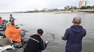 Phu Loc/Phú Lộc, кефаль у каменной косы в устье реки Da Nang/Дананг