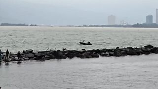 Phu Loc/Phú Lộc, кефаль у каменной косы в устье реки Da Nang/Дананг