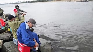 Phu Loc/Phú Lộc, кефаль у каменной косы в устье реки Da Nang/Дананг