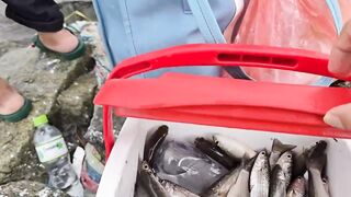 Phu Loc/Phú Lộc, кефаль у каменной косы в устье реки Da Nang/Дананг