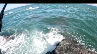 Ngày nắng mũi nghê sơn trà đà nẵng # câu cá biển