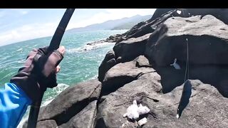 Ngày nắng mũi nghê sơn trà đà nẵng # câu cá biển