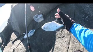 Ngày nắng mũi nghê sơn trà đà nẵng # câu cá biển