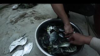 Ngày nắng mũi nghê sơn trà đà nẵng # câu cá biển