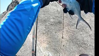 Ngày nắng mũi nghê sơn trà đà nẵng # câu cá biển