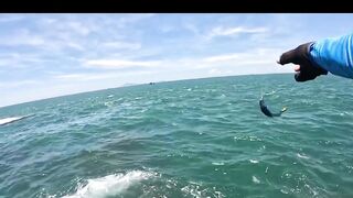 Ngày nắng mũi nghê sơn trà đà nẵng # câu cá biển