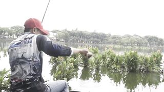 Đà Nẵng giải câu cá mở rộng соревнование по ловле и атмосфера у воды