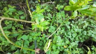 Кемпинг и рыбалка на снаппера - выбираем новый каменистый спот у скал