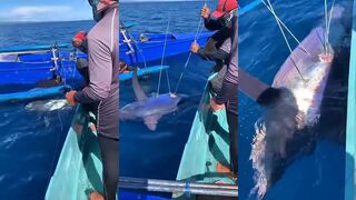 Philippines: подводная охота на monster blue marlin и чем это кончилось