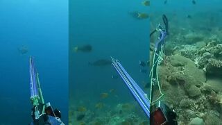 SPEARFISHING IN BANTON ROMBLON MEL SPEARFISHING PHILIPPINES #fishing #spearfishingphilipines