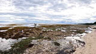 Siquijor/Сикихор райский остров Филиппин море и свежие морепродукты