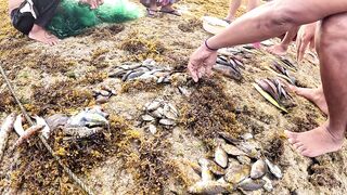 Siquijor/Сикихор райский остров Филиппин море и свежие морепродукты