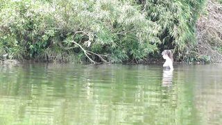 30 дней на бамбуковом плоту простые снасти и большой речной улов