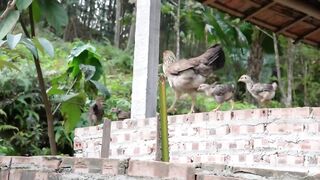 30 дней на бамбуковом плоту простые снасти и большой речной улов