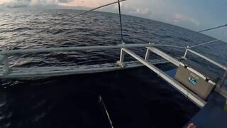 PHILIPPINES (Филиппины) три дня на воде и попытка поймать все что плавает реально ли