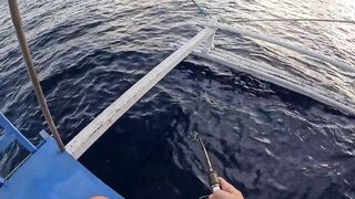 PHILIPPINES (Филиппины) три дня на воде и попытка поймать все что плавает реально ли