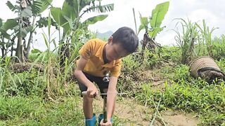 Ловушки на ручье у Khai как набрать 20 кг рыбы на продажу