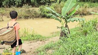 Ловушки на ручье у Khai как набрать 20 кг рыбы на продажу